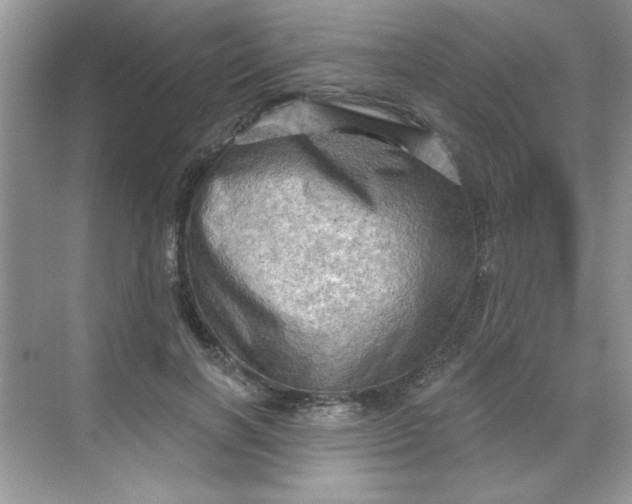 X0000068720646200605121453