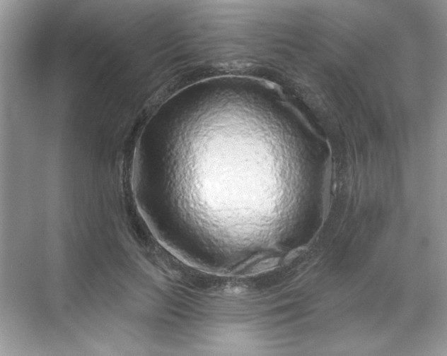 X0000068720647200605121453