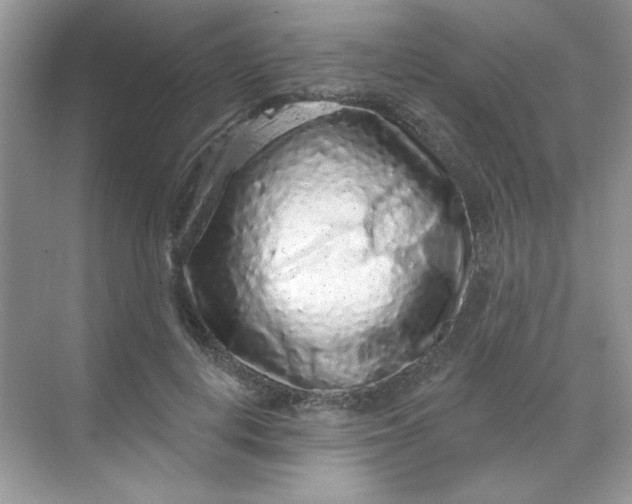 X0000068720648200605121453