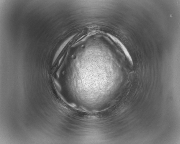 X0000068720649200605121453