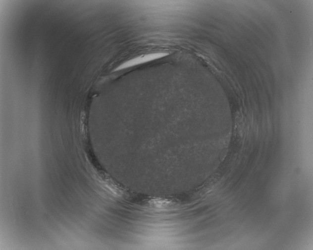 X0000068720650200605121453