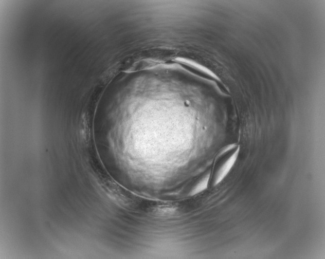 X0000068720651200605121453