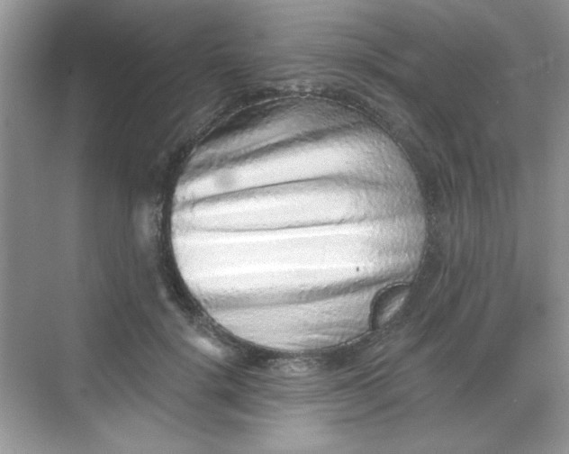 X0000068720652200605121453