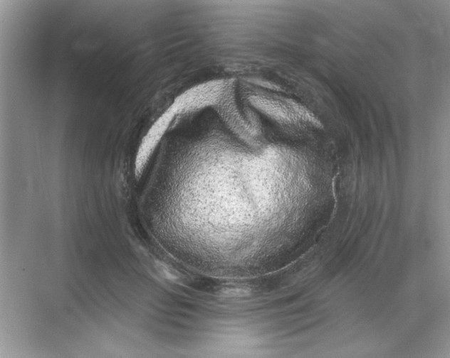 X0000068720653200605121453