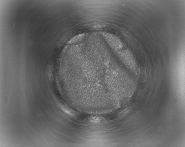 X0000068720654200605121453