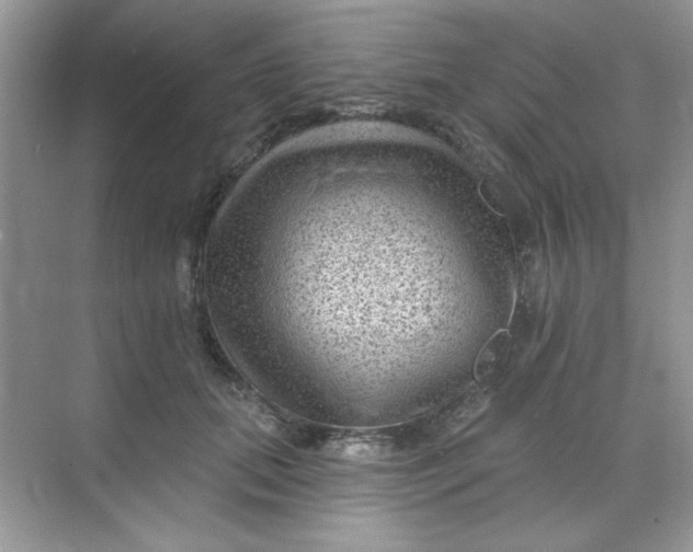 X0000068720655200605121453