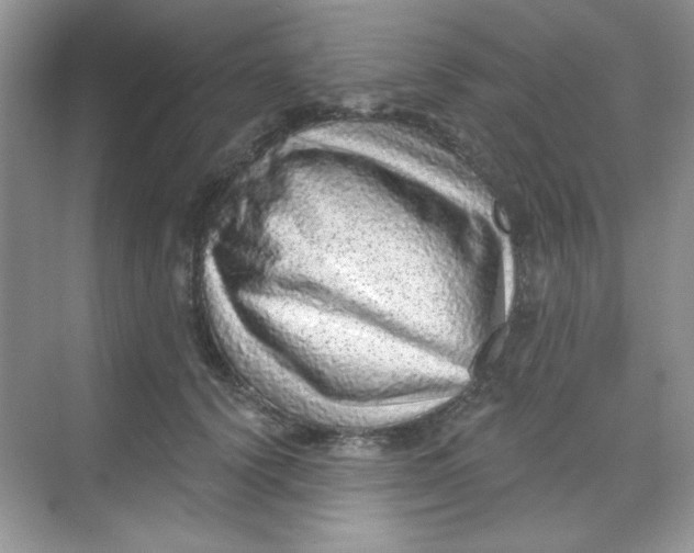 X0000068720656200605121453