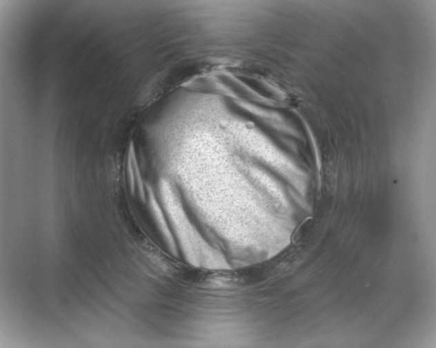 X0000068720657200605121453