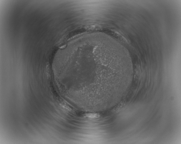 X0000068720659200605121453