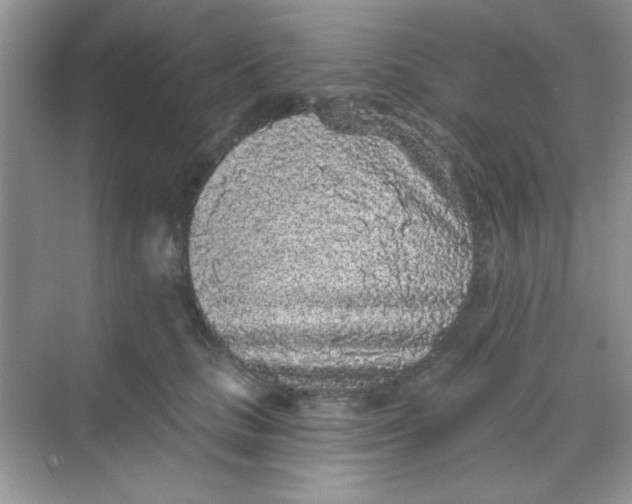 X0000068720661200605121453