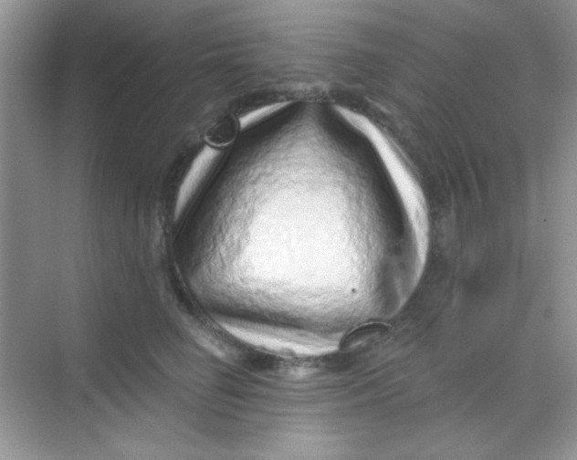 X0000068720662200605121453