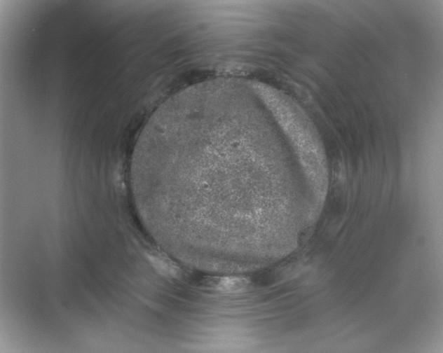 X0000068720663200605121453