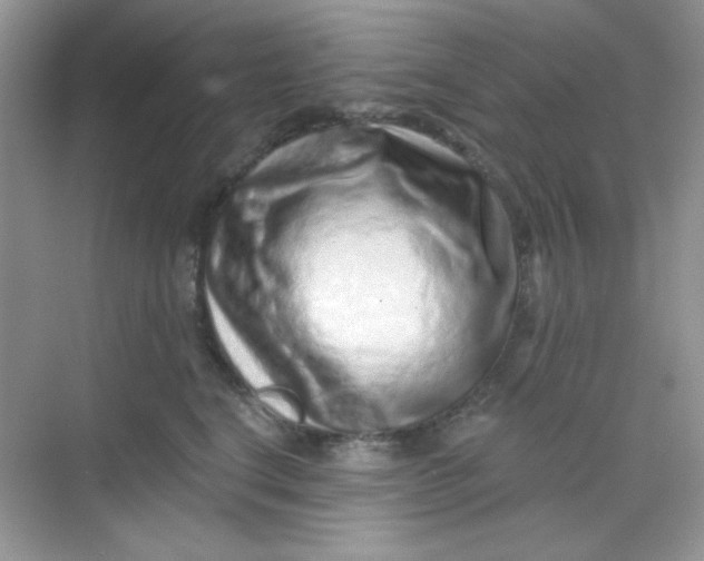 X0000068720664200605121453