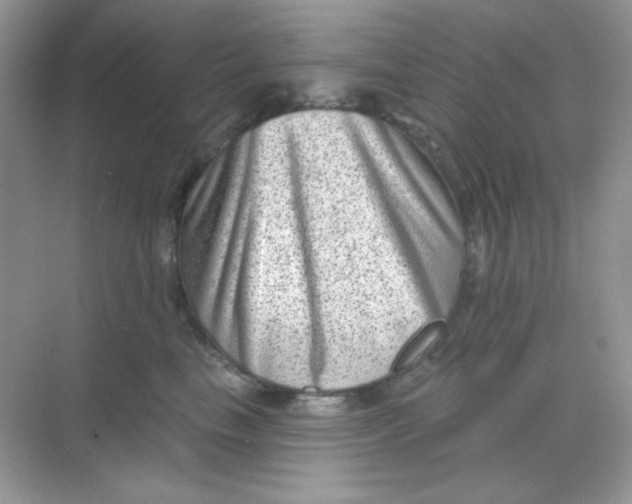 X0000068720665200605121453