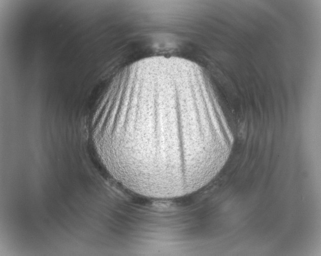 X0000068720666200605121453