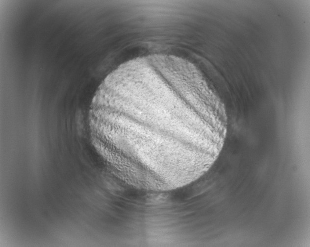 X0000068720667200605121453