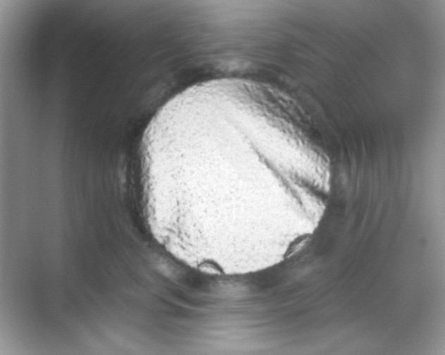 X0000068720668200605121453