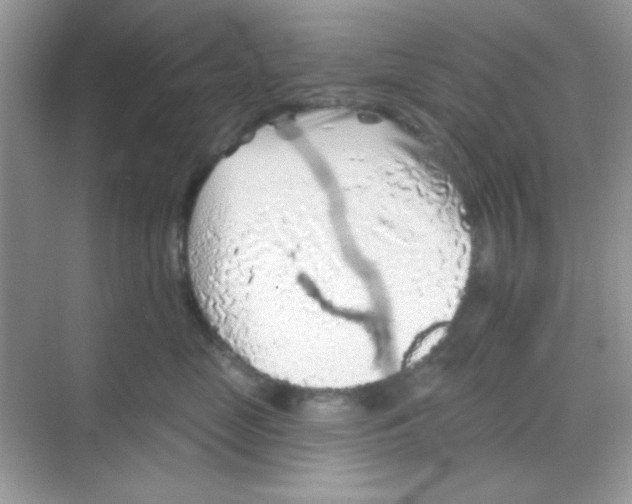 X0000068720669200605121453