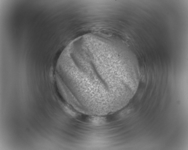 X0000068720670200605121453