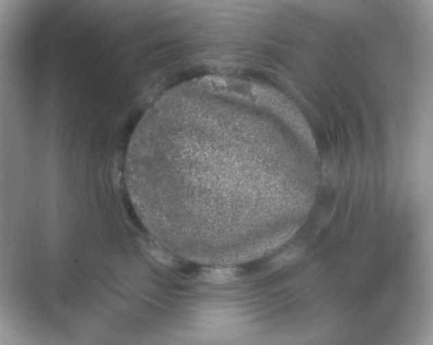 X0000068720671200605121453