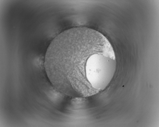 X0000068720672200605121454