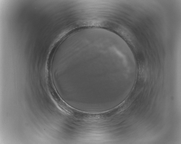 X0000068720674200605121453