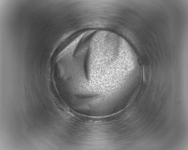 X0000068720675200605121453