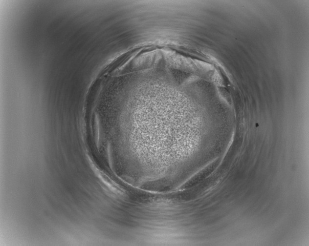 X0000068720677200605121453