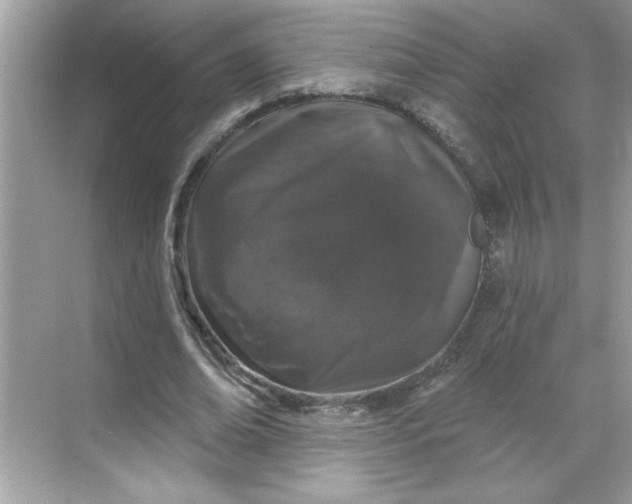 X0000068720678200605121453