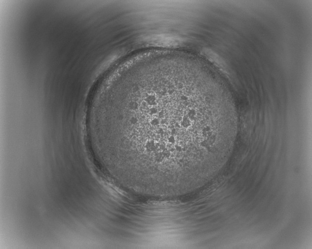 X0000068720679200605121453