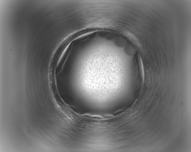 X0000068720680200605121453