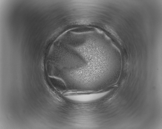 X0000068720681200605121453