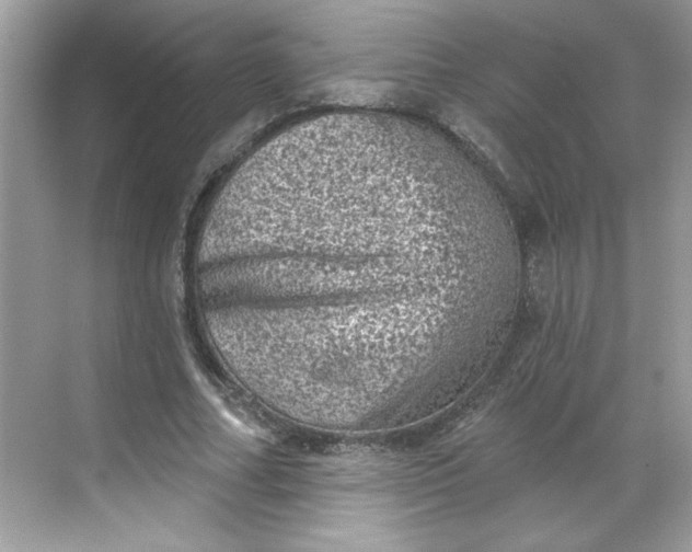 X0000068720682200605121453