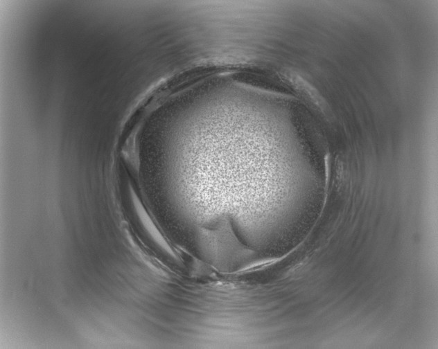 X0000068720684200605121453