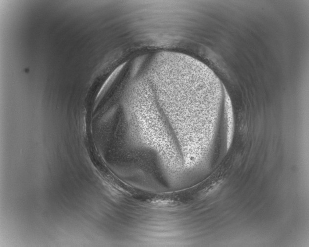 X0000068720685200605121452