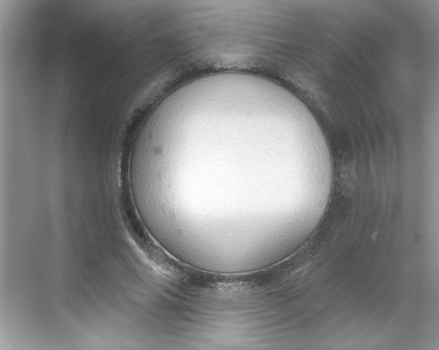 X0000068720686200605121452