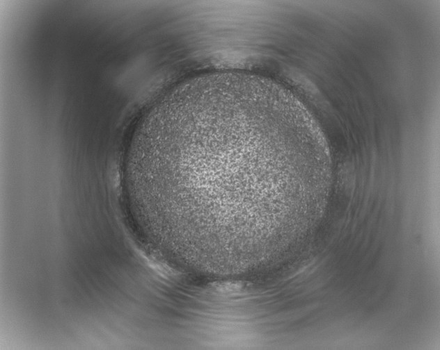 X0000068720687200605121452