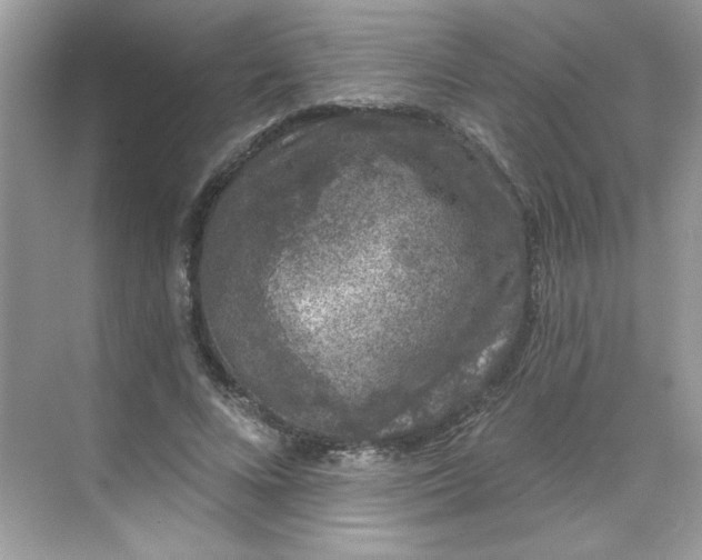 X0000068720688200605121452