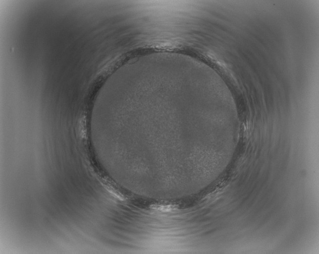 X0000068720689200605121452