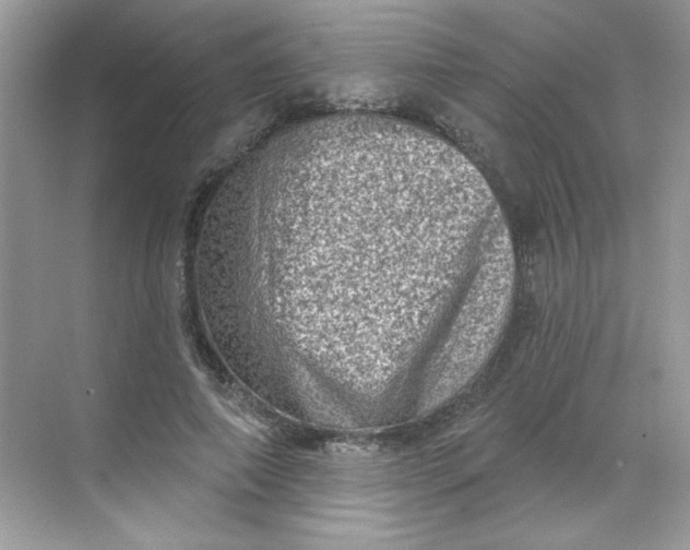 X0000068720690200605121452