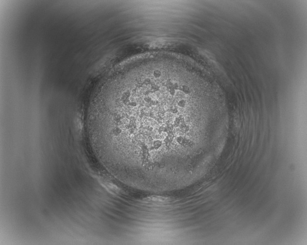 X0000068720691200605121452