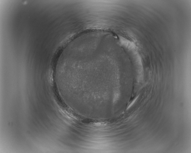 X0000068720692200605121452