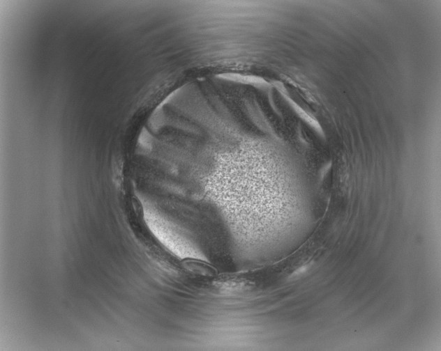 X0000068720693200605121452