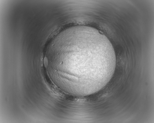 X0000068720694200605121452