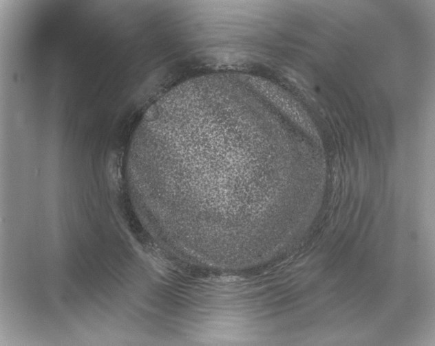 X0000068720695200605121452