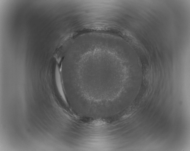 X0000068720696200605121452