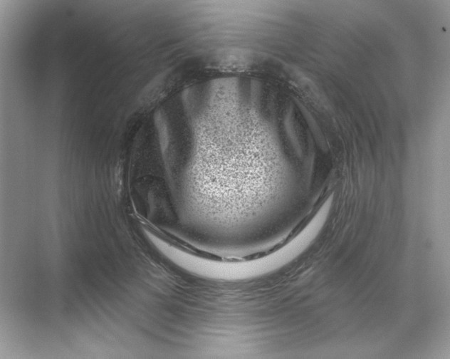 X0000068720697200605121452