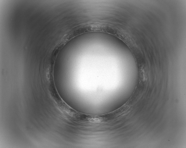 X0000068720698200605121452