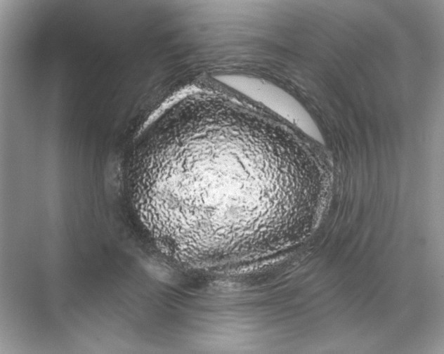 X0000068720699200605121452