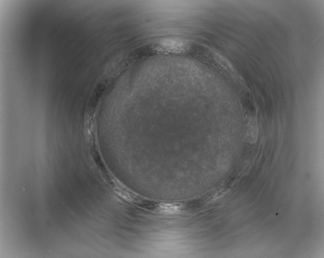 X0000068720701200605121452